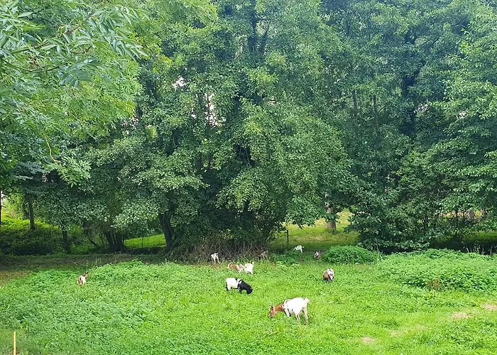 Du Petit Marchais * Courlay