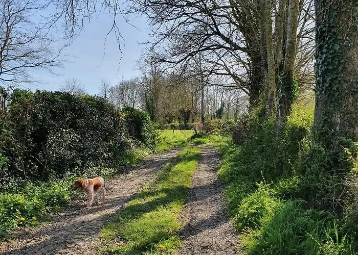 Du Petit Marchais Courlay